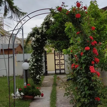Carol E Bed & Breakfast