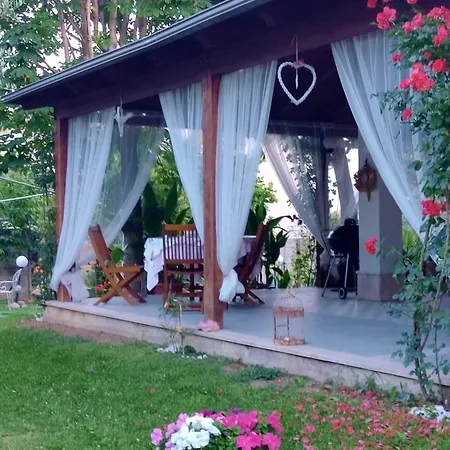 Carol E Bed & Breakfast *