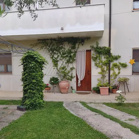 Carol E Bed & Breakfast *