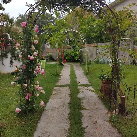 Bed and breakfast Carol E