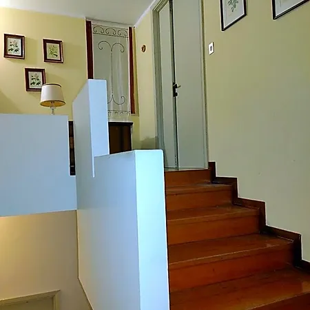 Carol E Bed & Breakfast