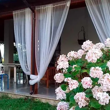 Bed & Breakfast Carol E 3*
