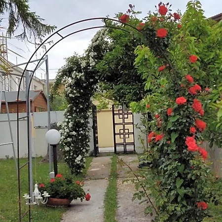 Bed & Breakfast Carol E Tollo