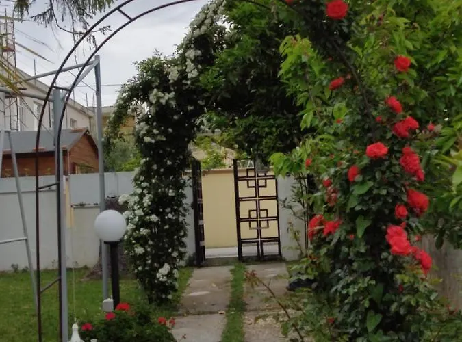 Carol E Bed & Breakfast