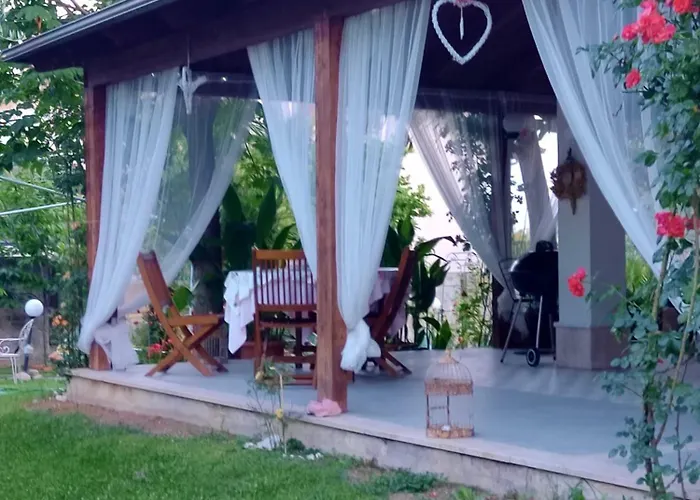 Carol E Bed & Breakfast 3*